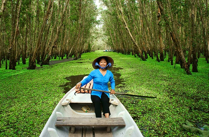 Keajaiban Subur Delta Mekong, Aset Berharga Vietnam