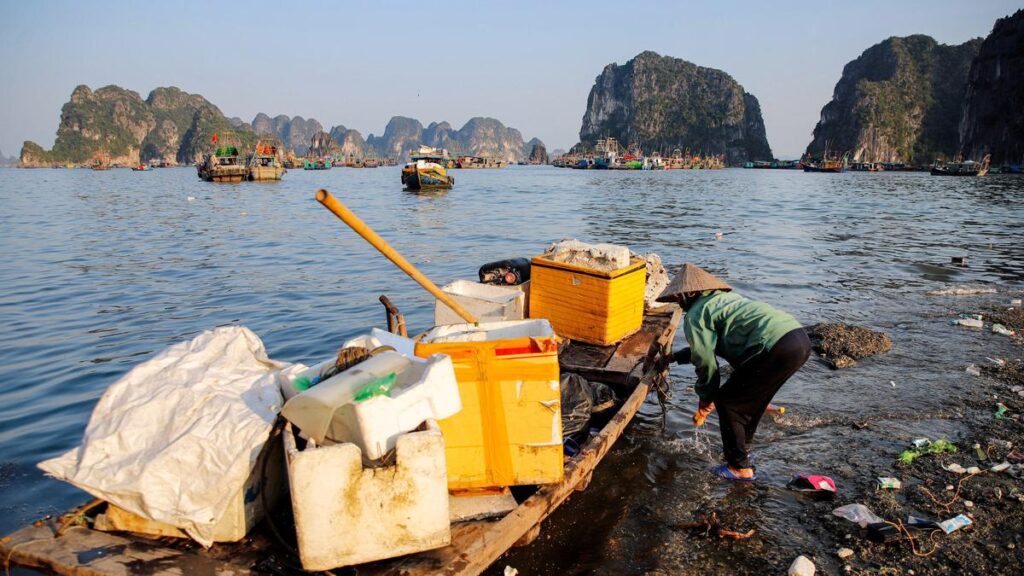 Krisis Sampah Plastik Ha Long Bay, Tantangan Mendesak