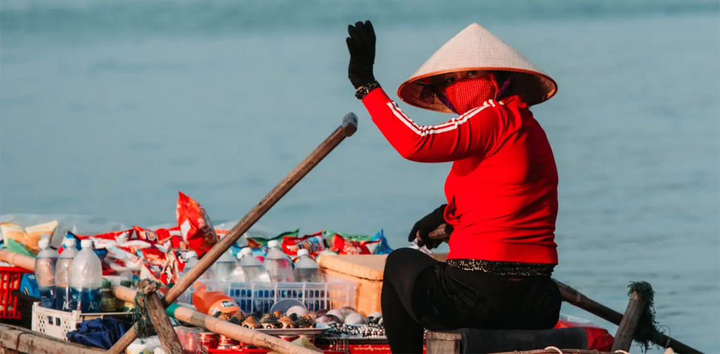 Lingkungan Hidup di Vietnam Saat Ini, Menuju Keberlanjutan