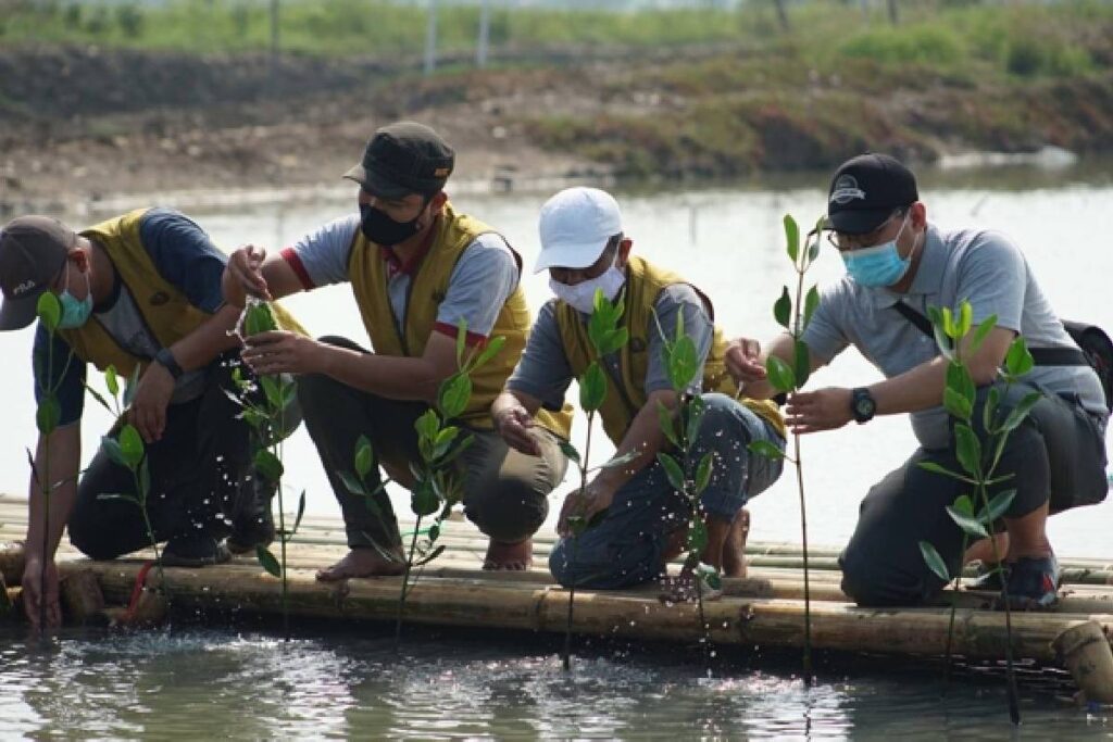 Masa Depan Hijau, Upaya Pelestarian Lingkungan di Vietnam