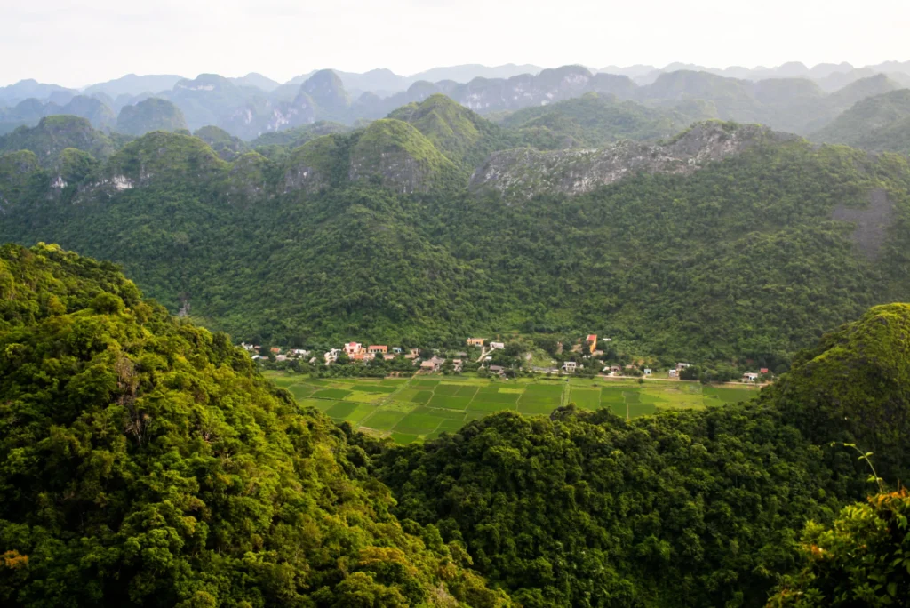 Memahami Biota Vietnam, Kekayaan Alam yang Tak Tertandingi